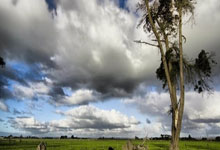 布鲁克林篮网今晨复出首秀；志在NBA季后赛名次提升；信心回归；数据趋势出现新变化的简单介绍-LOL比赛竞猜